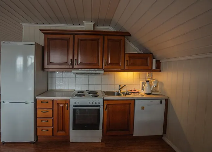 Апартаменты Seljevaagen Penthouse