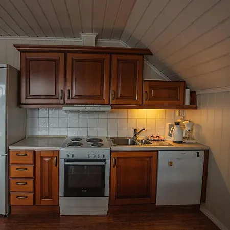 Daire Seljevaagen Penthouse